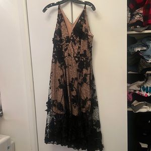 Dress the Population Black and Nude Lace Dress